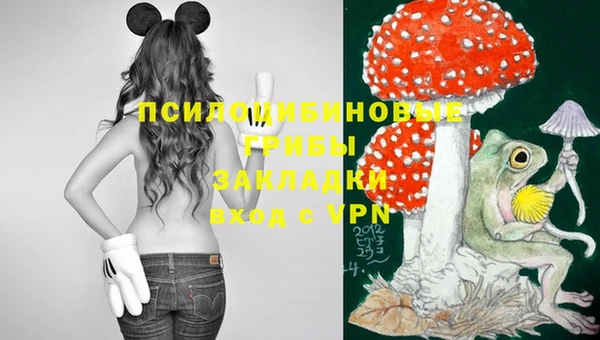амф Абаза